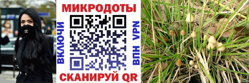 Псилоцибиновые грибы прущие грибы  Шарья 
